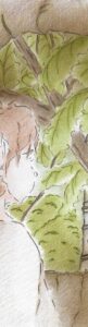 lathrodzakladkagotowa